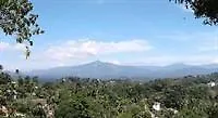 Vista Bnb Sri Dhamma Siddhi Mawatha 1 Kandy
